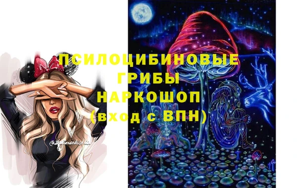 дживик Лагань