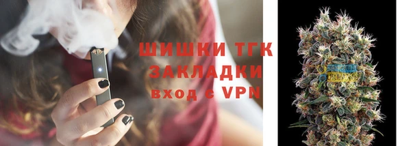 дживик Лагань