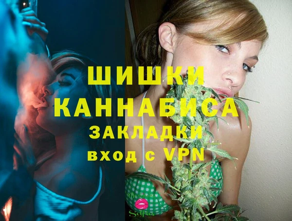 дживик Лагань