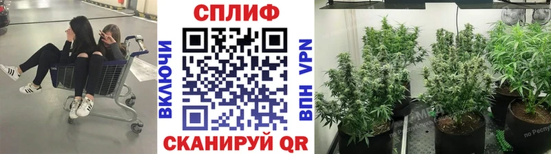 Конопля семена  Купить закладки  Плёс 
